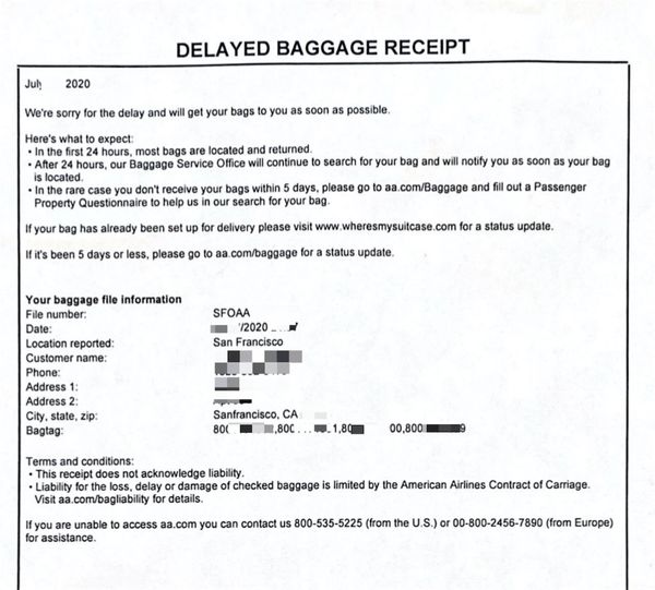 american express delayed baggage